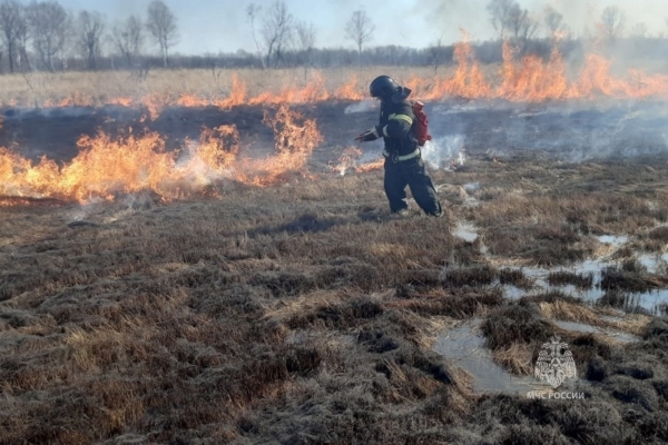 МЧС предупреждает комаричан: неконтролируемые палы сухой растительности могут привести к трагедии