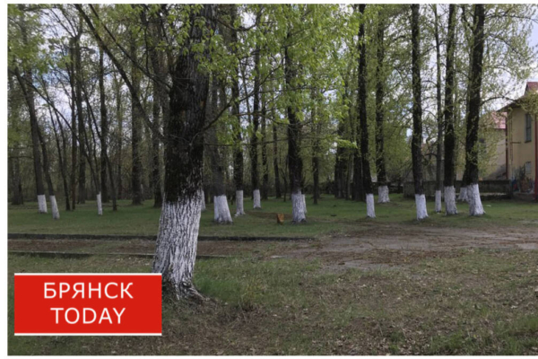 Брянцы выбирают объекты для благоустройства на следующий год