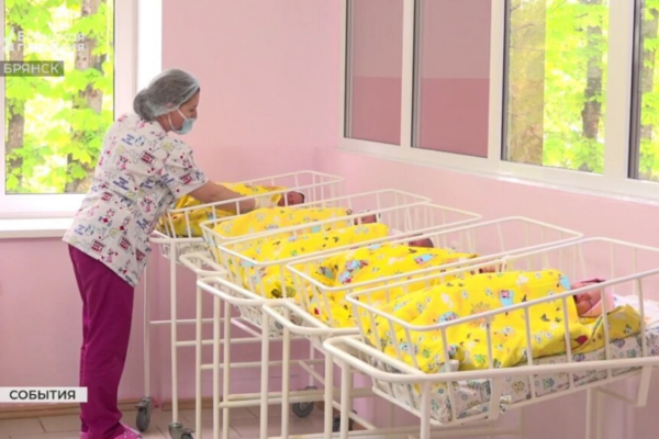 В Брянской области число многодетных семей увеличилось до 15217