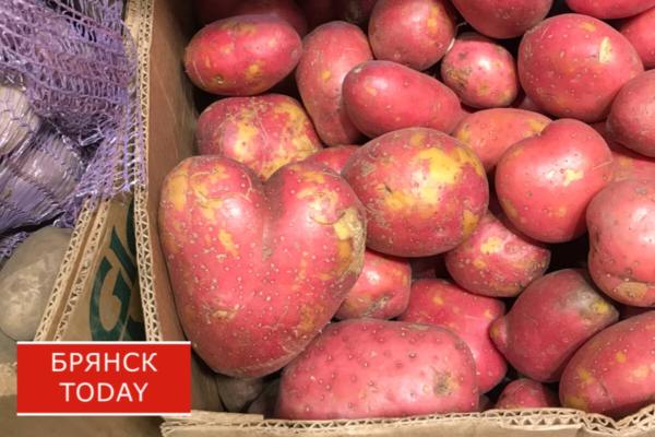 Максим Попов рассказал о секретном месте с дешевой картошкой