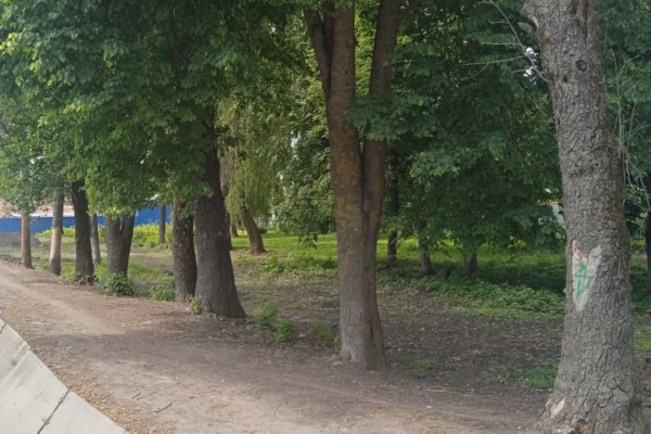 Совместные усилия лопандинских предприятий – залог сохранения природной красоты и комфортной среды для жизни