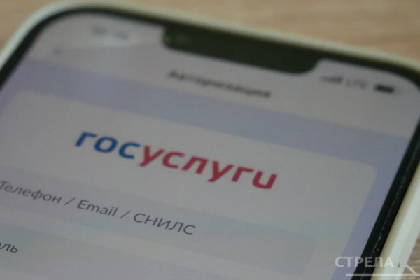 Приложение «Госуслуги.Дом» помогает брянцам разбираться в бытовых проблемах