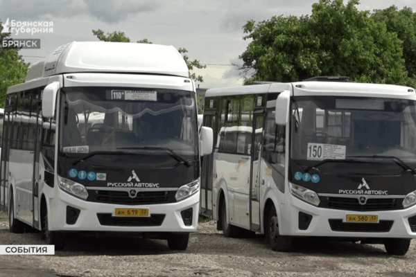 Трагедия под Брянском: автоколонна №1403 проявила высокий уровень профессионализма