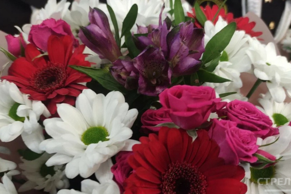 Брянским артистам Наталье Громыкиной и Алексею Чубакову вручили звание заслуженных