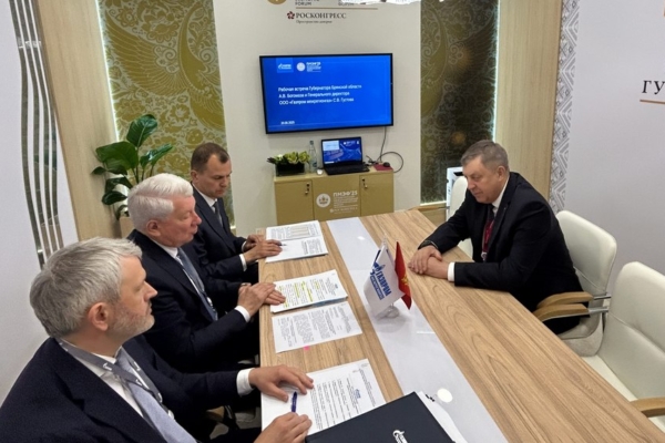 Брянская область входит в десятку лидеров по догазификации