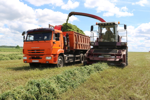 В Комаричском районе сельскохозяйственные предприятия активно заготавливают корма для скота на зиму