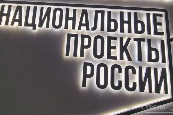 В брянском парке планируют реализовать туристический проект