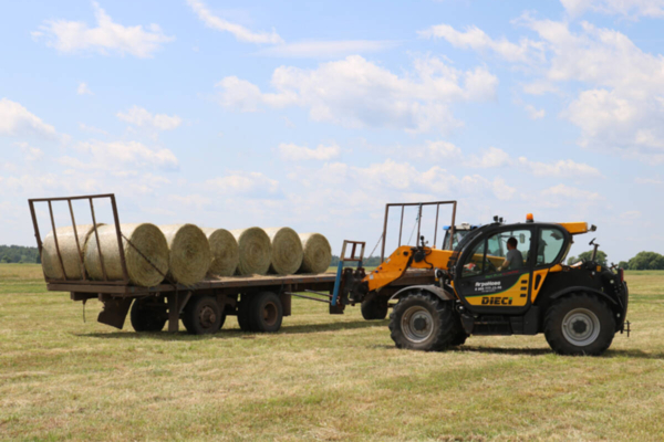 Комаричские аграрии успешно завершили первый этап кормозаготовки