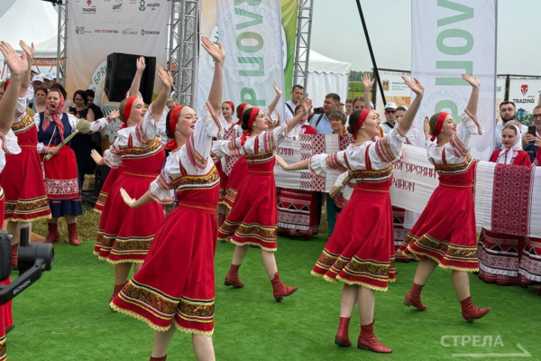 Под Брянском проходит агропромышленная выставка «День Брянского поля»