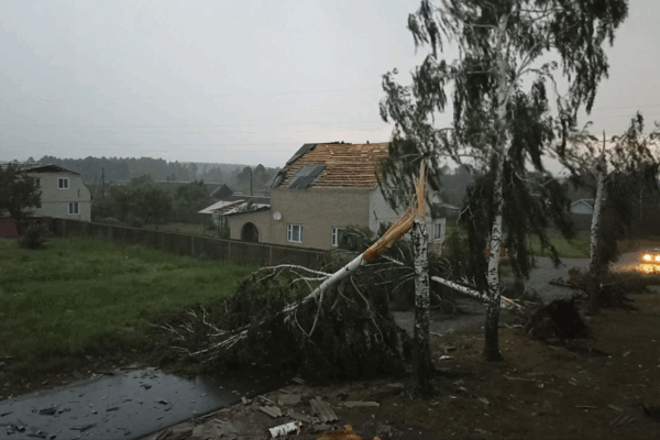 Мощный ураган обрушился на юго-запад Брянщины