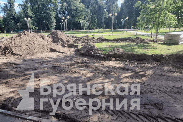 В Брянске в лесу «Лесные сараи» готовят площадку для установки памятника защитникам границы