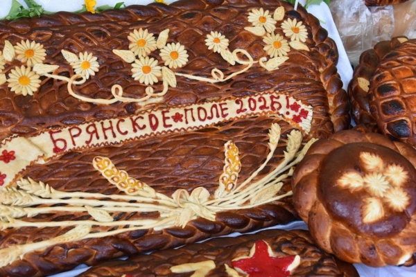 Брянская область лидирует в России по производству картофеля