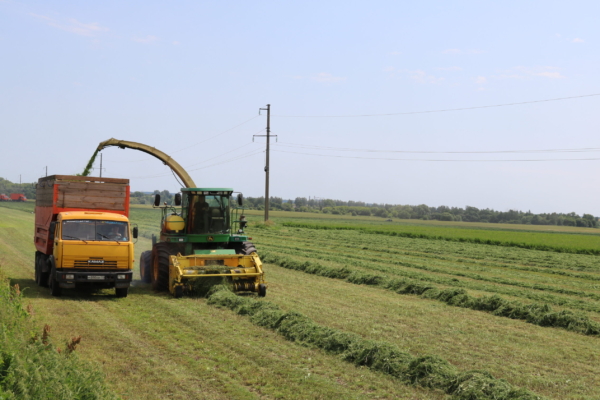 В комаричских сельхозпредприятиях активными темпами идет заготовка кормов
