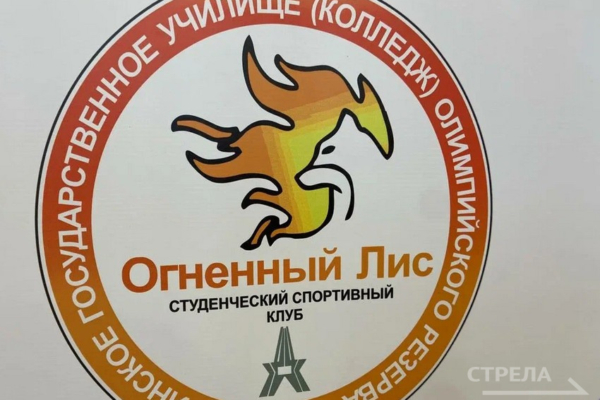 В Брянске подвели итоги учебного года в «Огненном лисе»