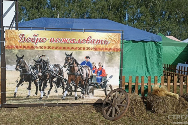 В брянском Кокино работает агропромышленная выставка «День поля»