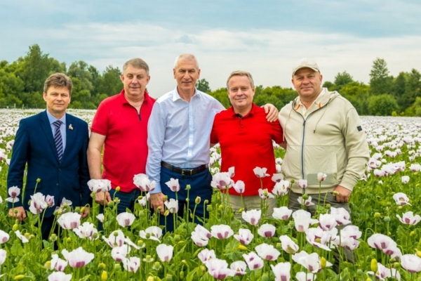 В Брянской области увеличилась площадь посевов опийного мака