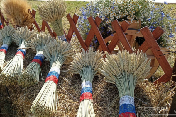 В Брянской области активно развивают сельские территории