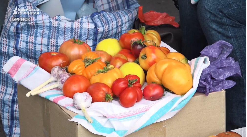 В Брянске регулярно проводятся ярмарки выходного дня,