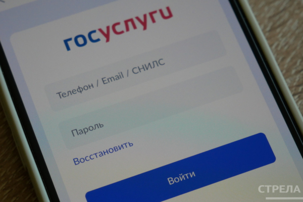 Госуслуги.Дом» помогает брянцам решать бытовые вопросы