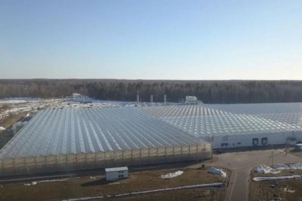 679 новых объектов подключили к электросетям специалисты «Брянскэнерго» в первом полугодии 2025 года