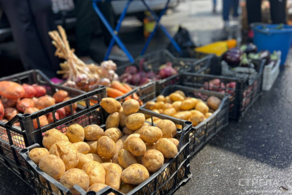 Брянские ярмарки выходного дня становятся доступнее