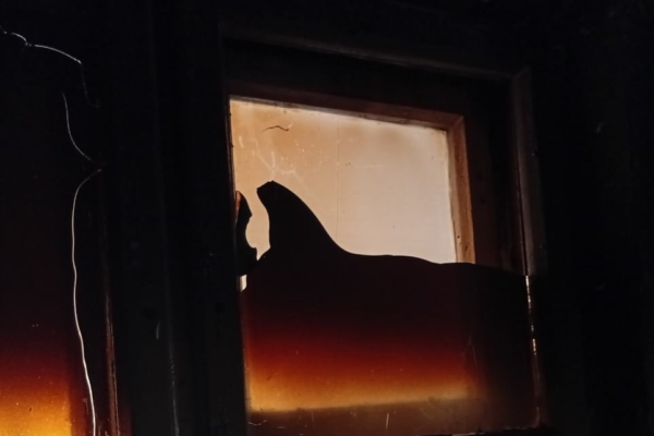 Спасибо пожарным и всем неравнодушным жителям Комаричского района