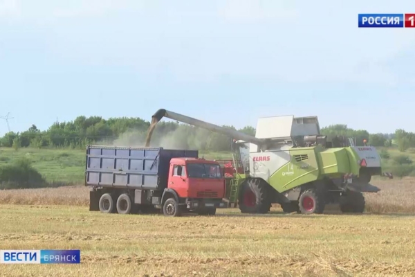 В Брянской области агрохозяйства завершили сбор зерновых и зернобобовых