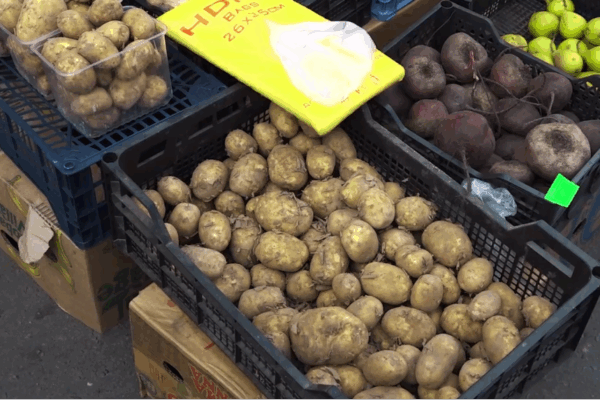 В Брянске наблюдается картофельный бум: цены на овощи упали почти до символических