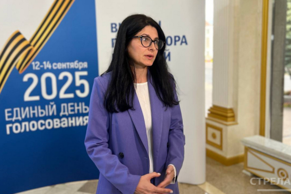 Правозащитник Ева Меркачева рассказала о проверке сельских УИКов