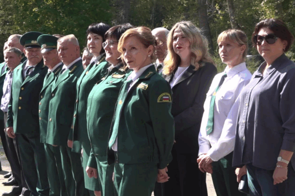 Брянских лесников отметили в их профессиональный праздник