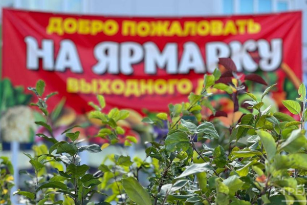 Во всех районах города Брянска продолжают работу ярмарки выходного дня