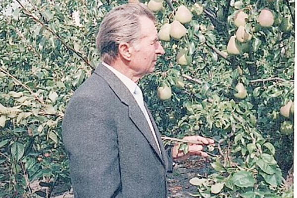 Саженцы, выращенные с любовью, принесут хорошие плоды