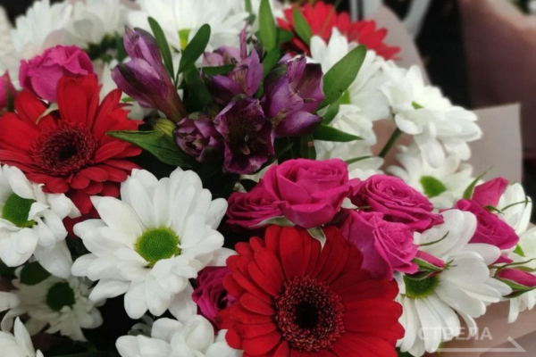 Жителей Брянской области поздравили с Днём знаний