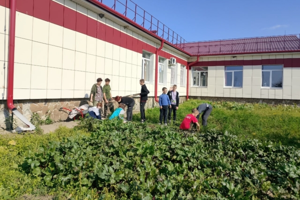 Обучающиеся Усожской школы приняли участие в общероссийской экологической акции «Зеленая Россия»