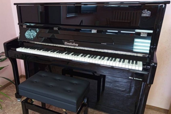 Дубровскую ДШИ оснастили новыми музыкальными инструментами и оборудованием