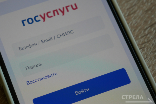 Брянцы получили доступ к удобному приложению «Госуслуги.Дом»