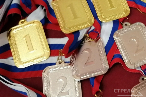 Брянский гимнаст завоевал серебро на первенстве ЦФО