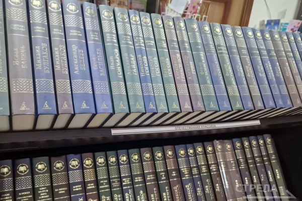 Две общедоступные библиотеки Брянска в 2026 году станут модельными