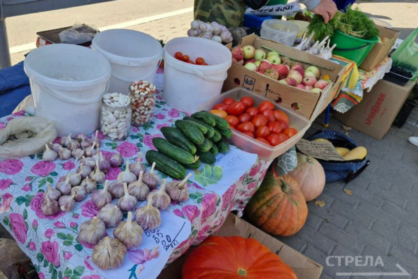Жителей Брянска приглашают на ярмарки выходного дня