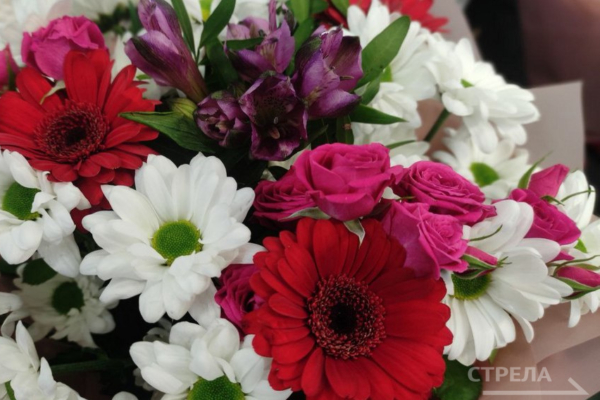 Знаком «Материнская слава» удостоят 22 брянских женщины