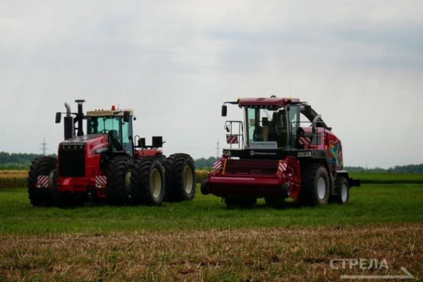 В Брянской области собрали рекордный урожай зерновых, картофеля и масличных культур