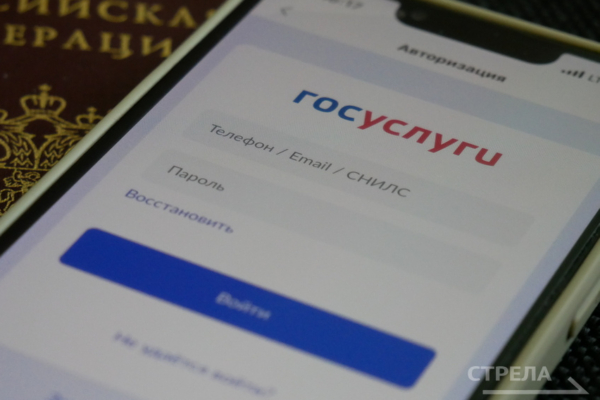 «Госуслуги.Дом» значительно улучшают бытовую жизнь брянцев