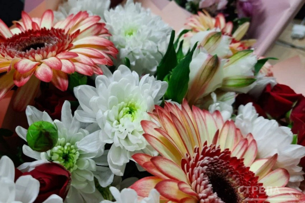 Завотделением Брянской областной детской больницы стала Заслуженным врачом РФ