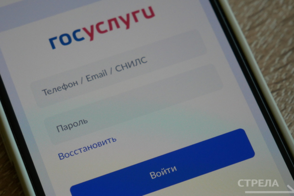 Приложение «Госуслуги.Дом» является верным помощником в бытовых вопросах брянцев