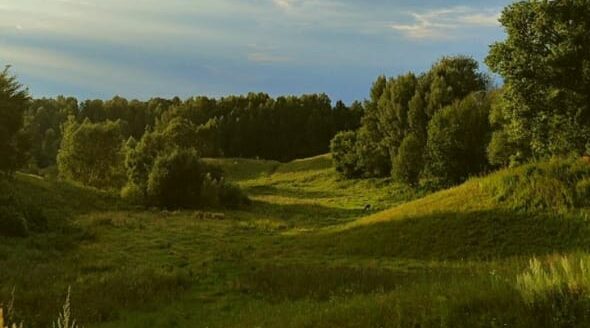 Деревня моя… дальняя