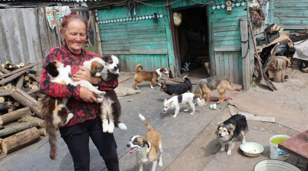 Крик души комаричской пожилой женщины, заваленной брошенными питомцами