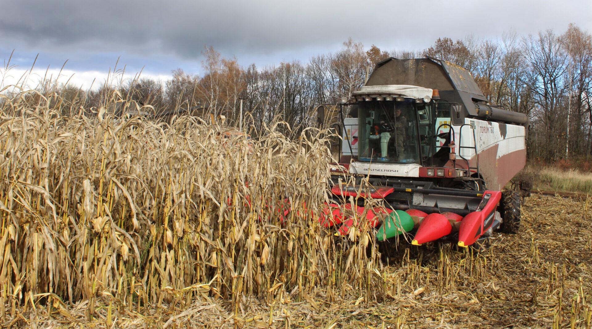 В Комаричском районе активными темпами ведется уборка  кукурузы на зерно