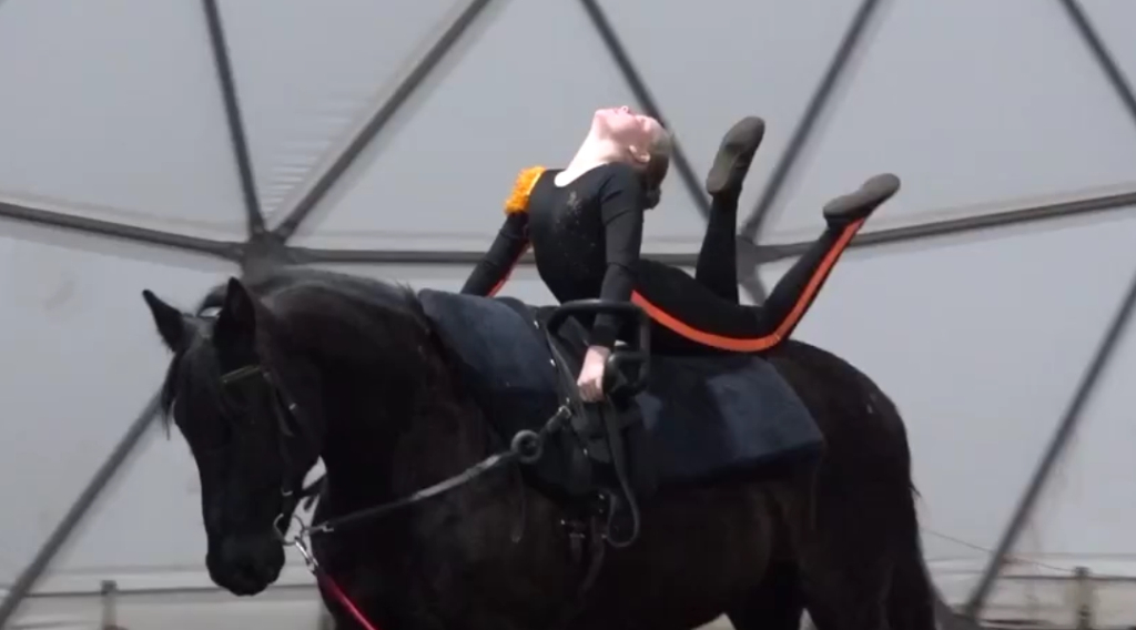 В Брянске прошли первые соревнования по вольтижировке для юных спортсменов