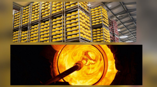 Два первых участника 2026 года федерального проекта «Производительность труда» приступают к реализации проектов