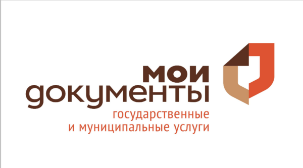 Стало известно, за какой услугой чаще всего брянцы ходят в МФЦ